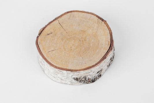 Birch Slices (Discs) - 1 Pcs