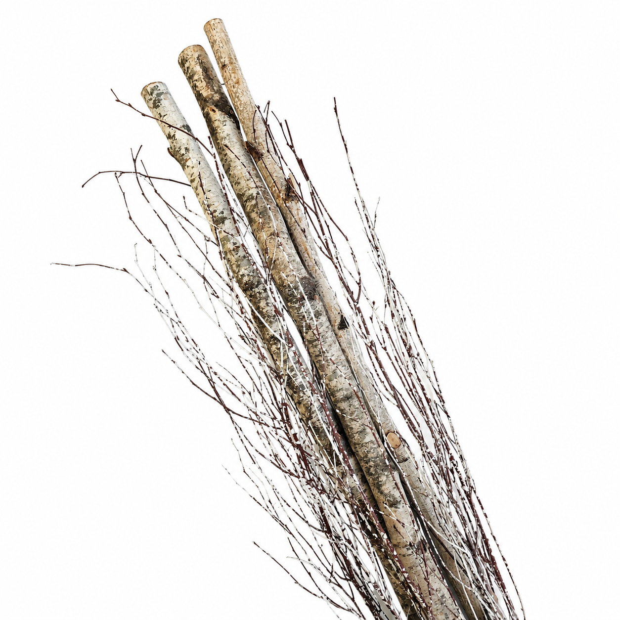 Birch Pole and Branch Bundle in Plastic Craft Sleeve