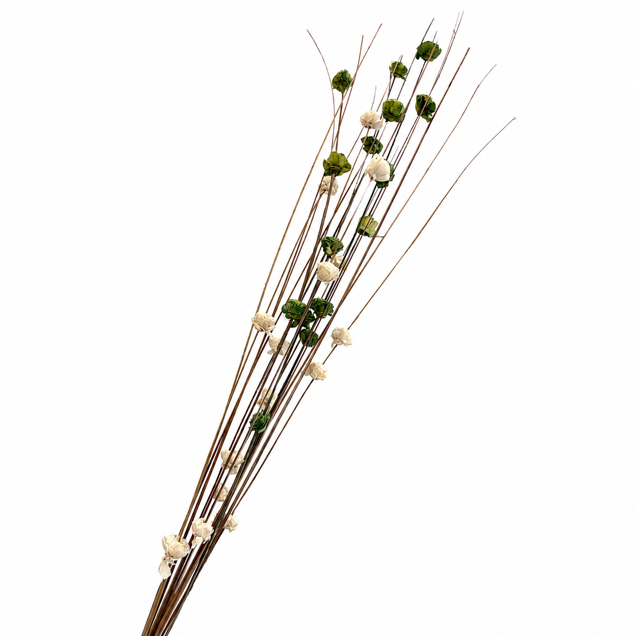 Ting with Sola Flower Bunch