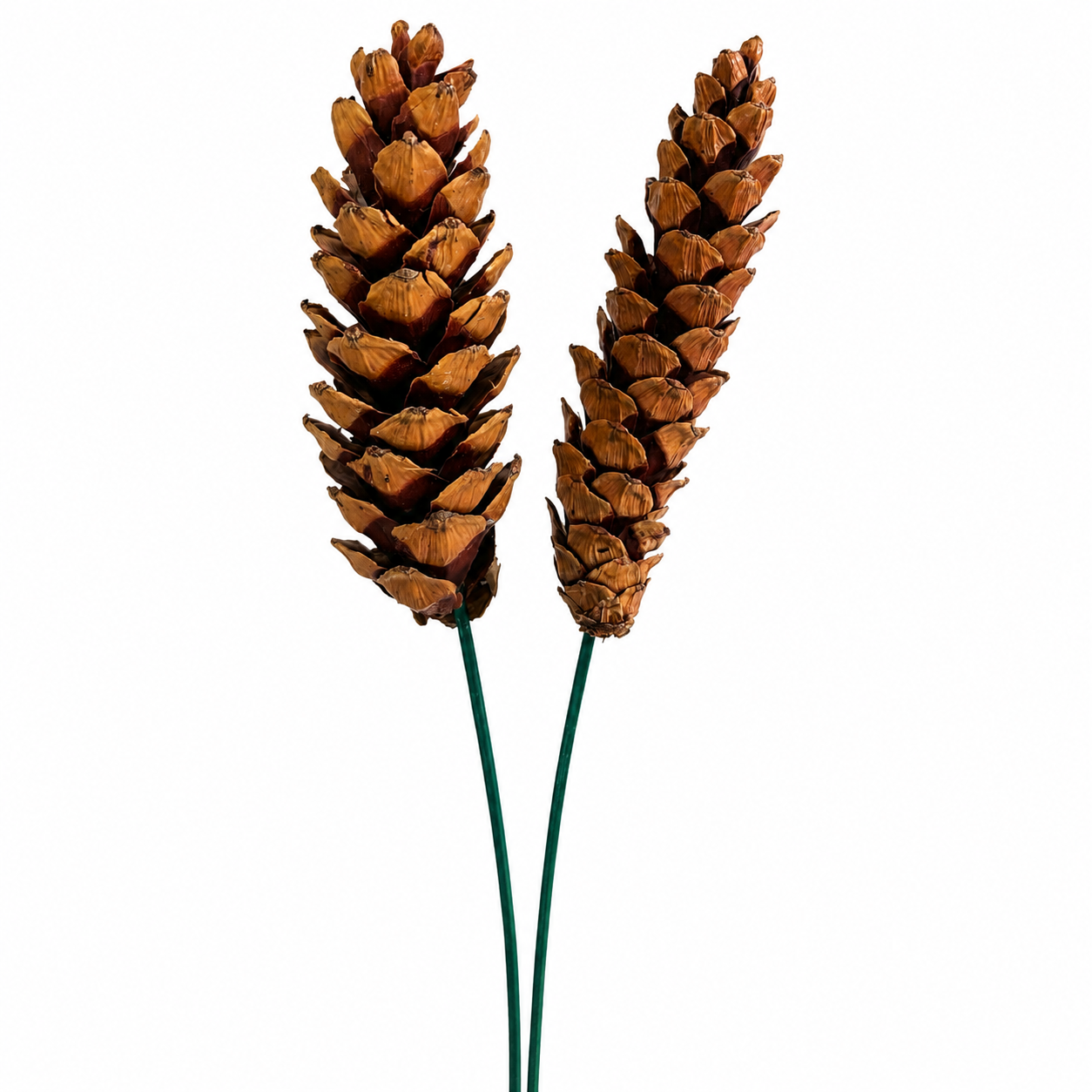 Strobus Pinecone Pick - 6" Wood Stem