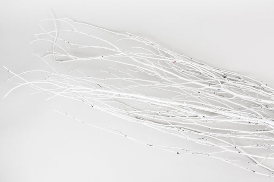 White Painted Birch Branches – 10pc Bundle (3–4 ft Decorative Stems)