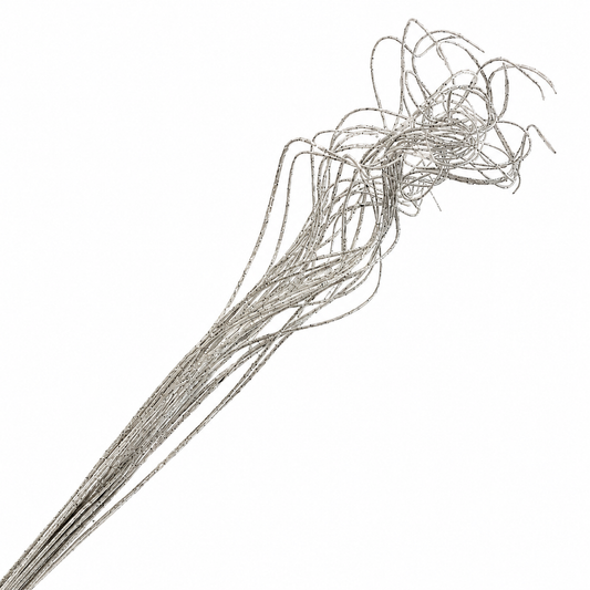 White Paint/Opal Glitter Curly Ting - 25 Stem Bunch