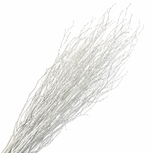 White Painted 4 Foot Birch Branches