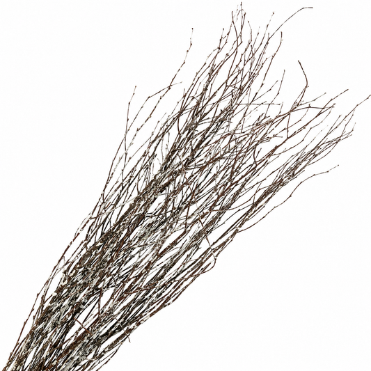 White Tipped 4 Foot Birch Branches