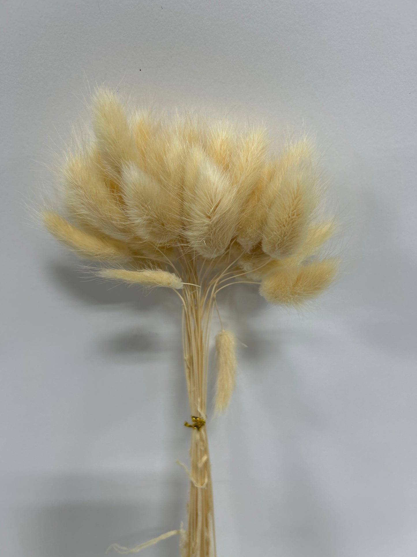 Bunny Tails 12bu/30pcs
