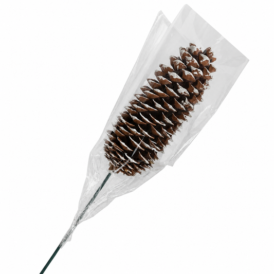 White Tipped Sugar Cone on a 15 Inch Stem in Plastic Sleeve