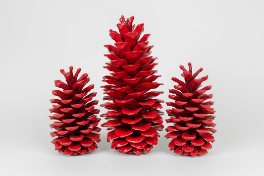 Red X-Large Pinecones - 9-14"