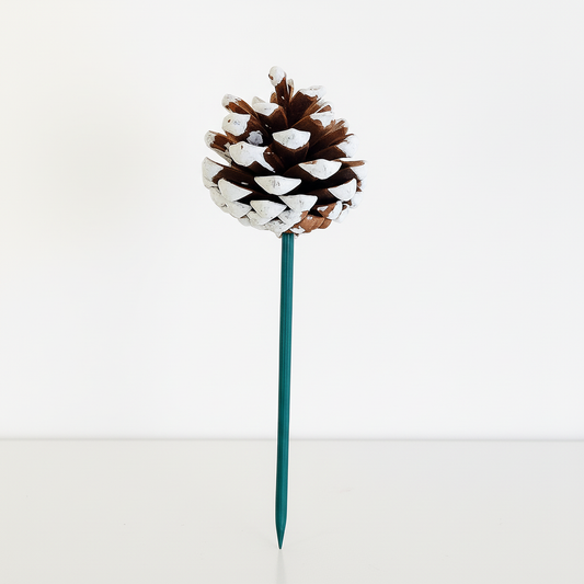 White Tipped Pinecone Pick - 6 Inch Stem (1-2")