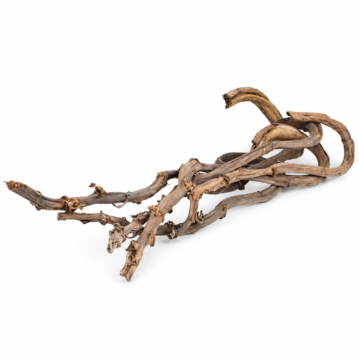 Natural Banana Sticks for Aquariums & Terrariums