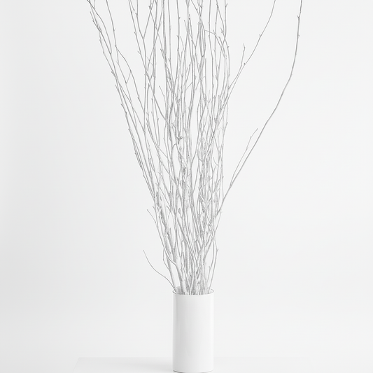 White Painted 6 Foot Birch Branches