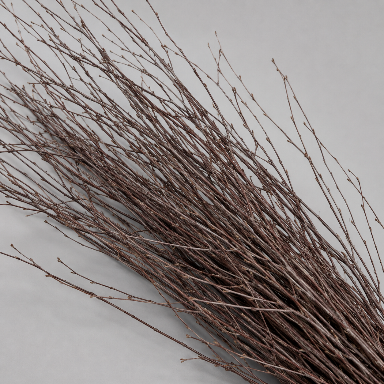 Natural Birch Branches, 4 Foot Set of 6