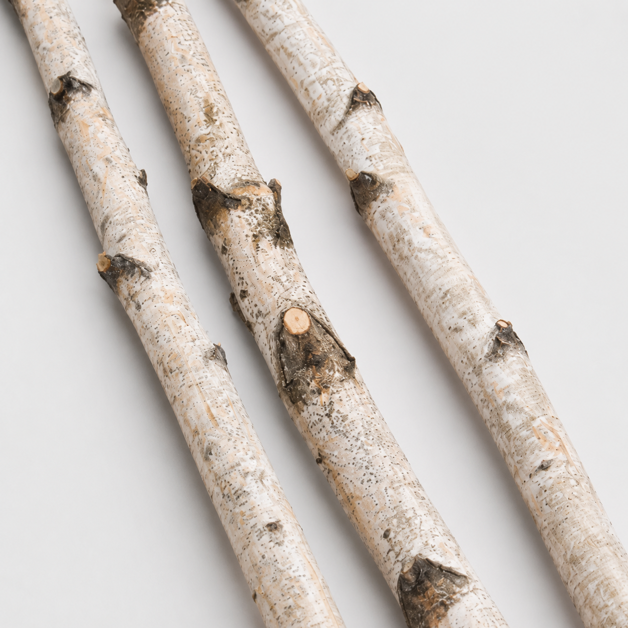 Natural Birch Poles, 4 Foot Set of 4