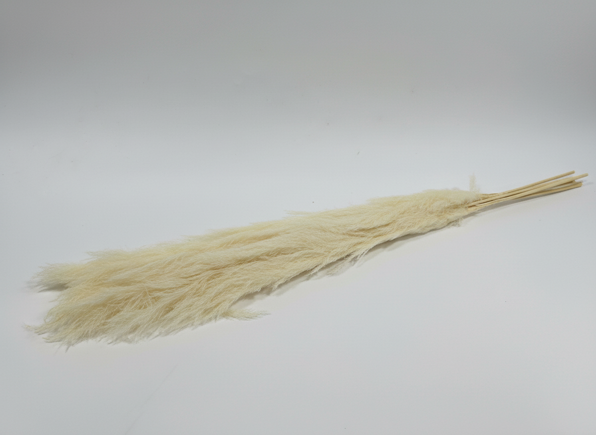 Tall Natural Pampas Grass â€“ 3-Stem Bunch (5 Feet)