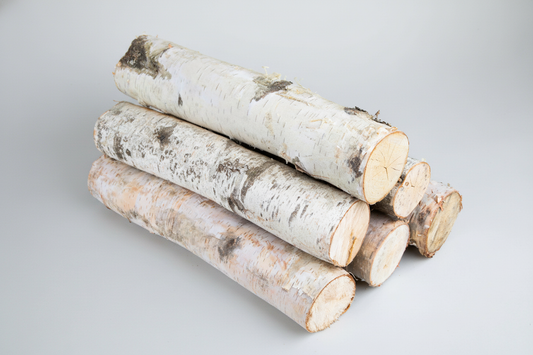 Natural 2 Foot Birch Logs