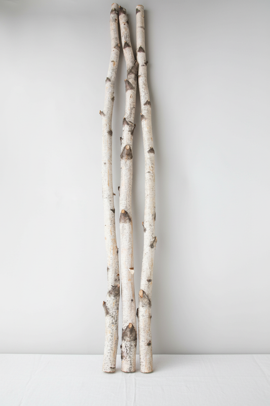 Natural 4 Foot Birch Poles