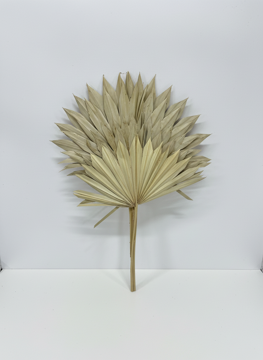 Sun Spear 20-22" Natural