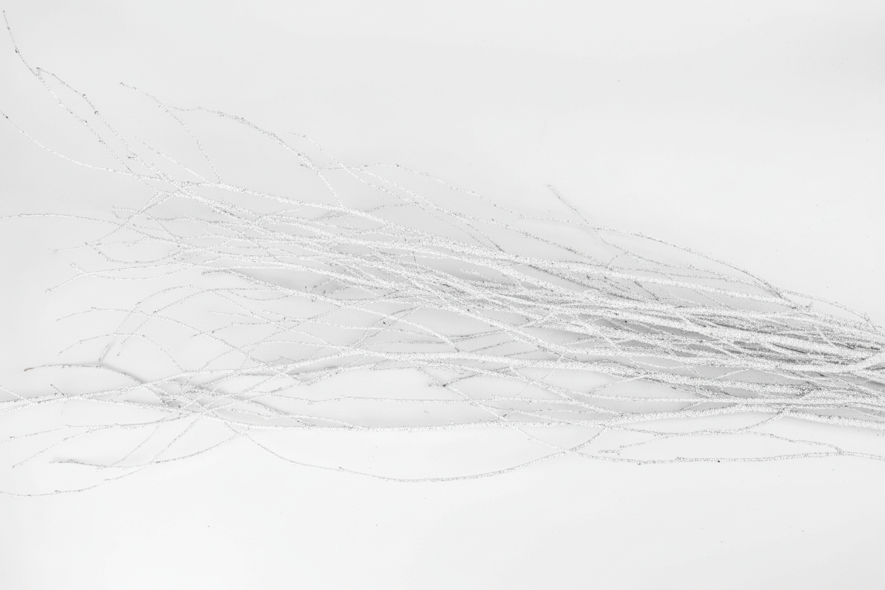 Red Glitter 4 Foot Birch Branches