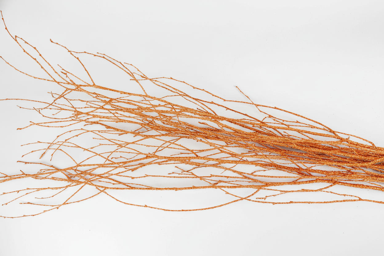 Red Glitter 4 Foot Birch Branches