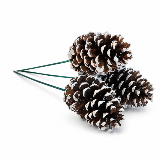 White Tipped Pinecone Pick  - 18" Wood Stem (4-6")