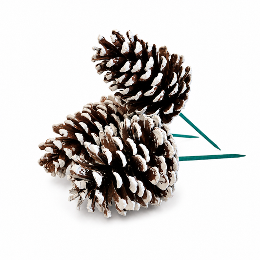 White Tipped Pinecone Pick - 6 Inch Stem (4-6")