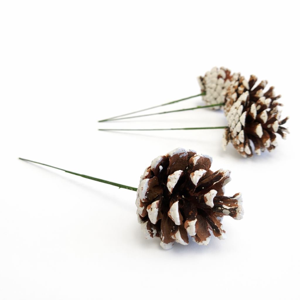 White Tipped Pinecone Pick - 6 Inch Stem (1-2")