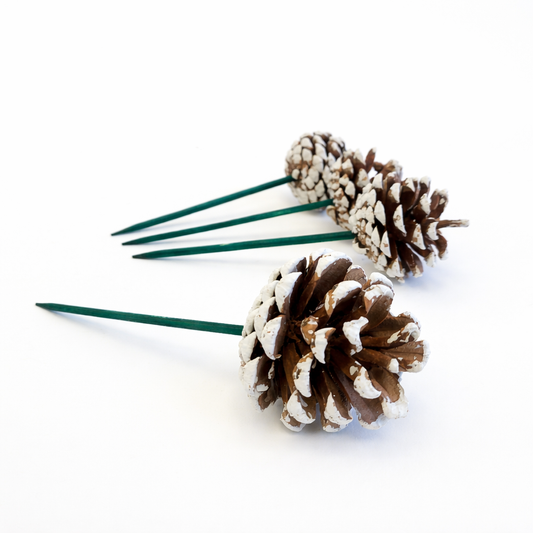 White Tipped Pinecone Pick - 6 Inch Stem (1-2")