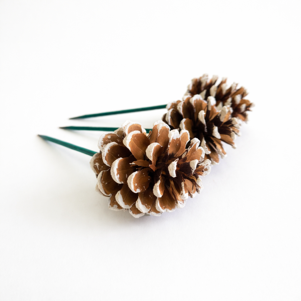 White Tipped Pinecone Pick - 6 Inch Stem (2-3")