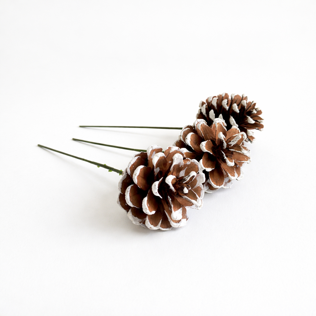 White Tipped Pinecone Pick - 6 Inch Stem (2-3")