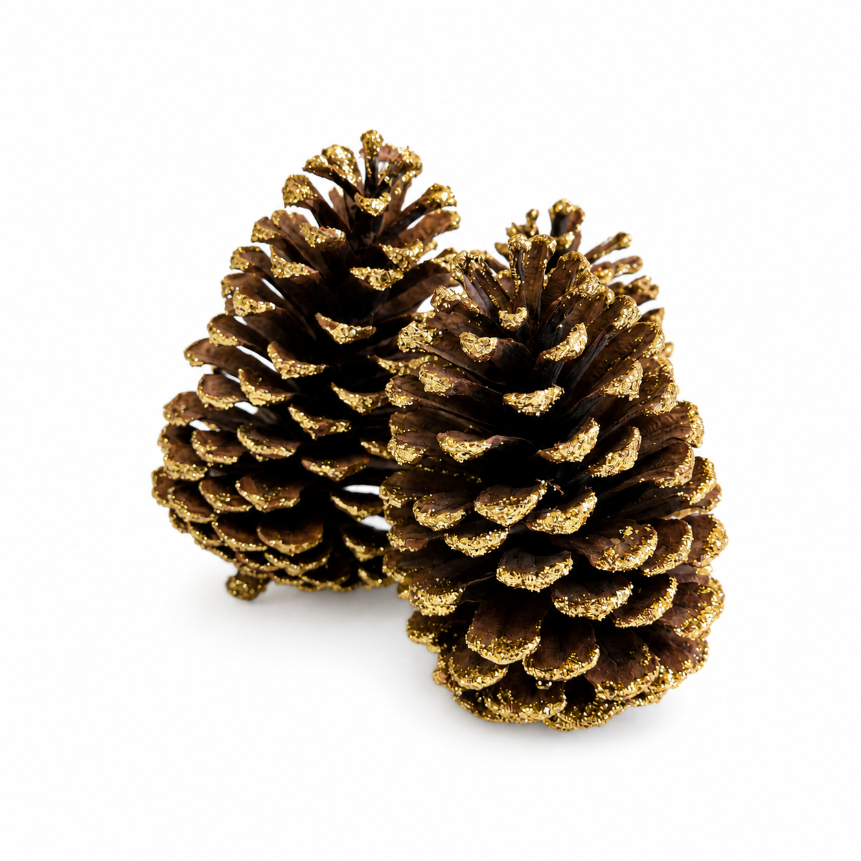 Gold Glitter Tipped Pinecones - 4-6"