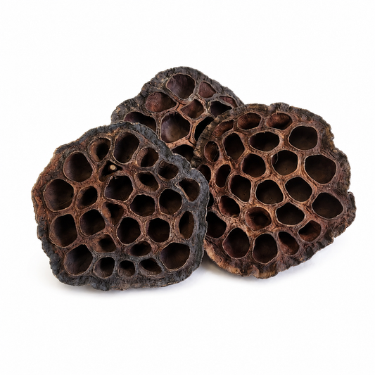 Natural Lotus Pod Heads
