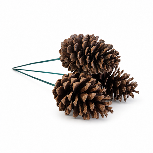 Natural Pinecone Pick  - 18" Wood Stem (4-6")