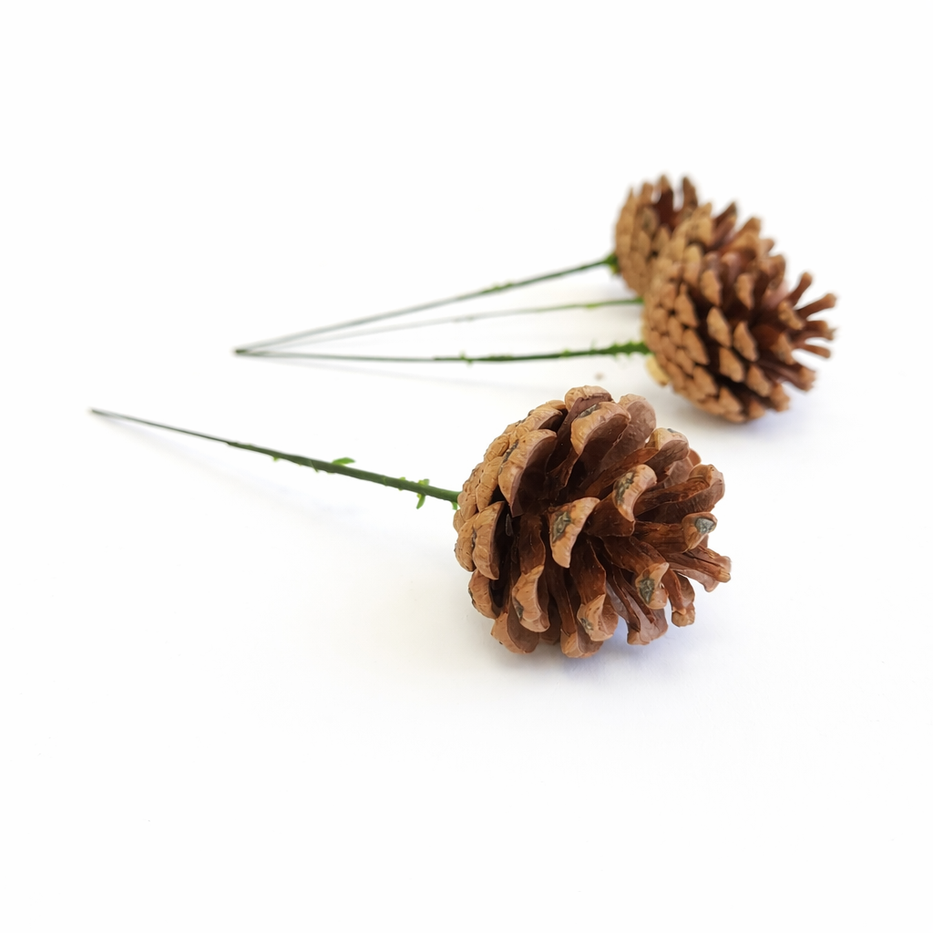 Natural Pinecone Pick - 6 Inch Stem (1-2")
