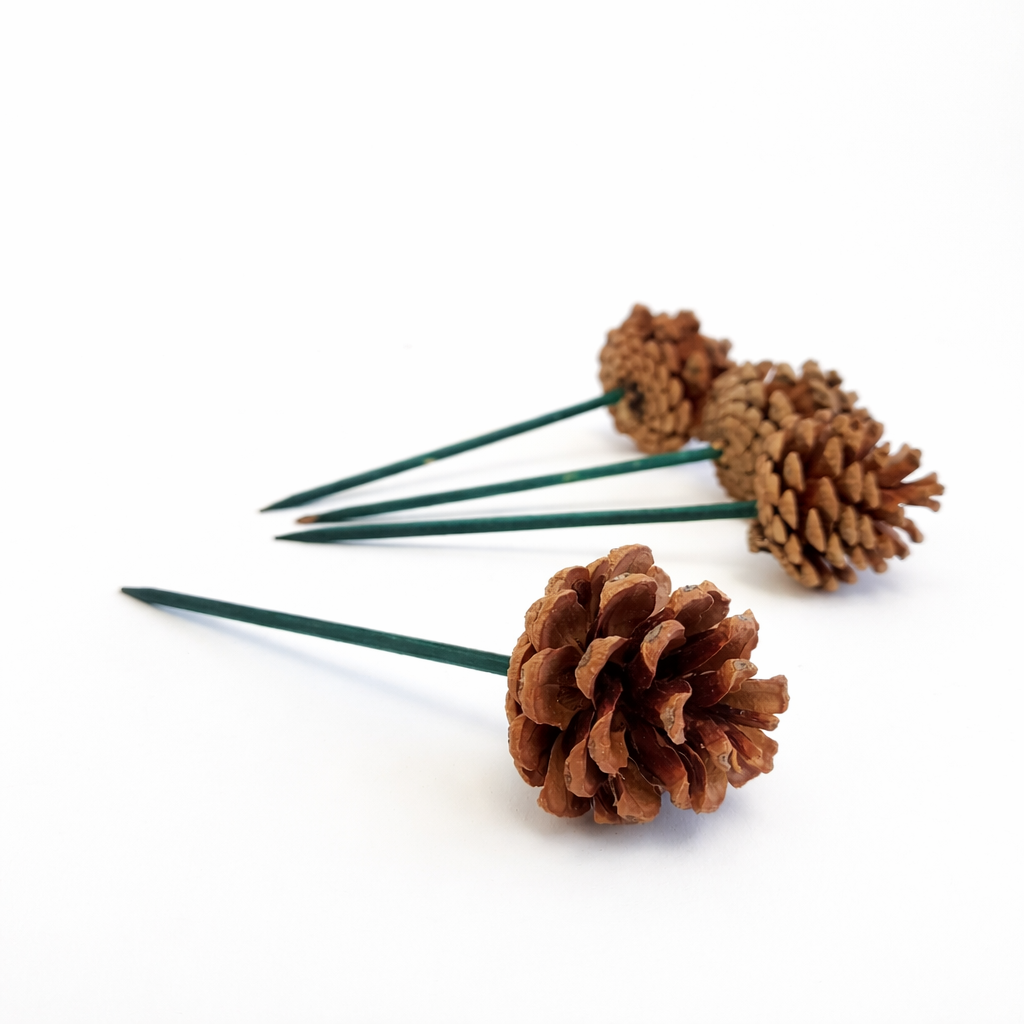 Natural Pinecone Pick - 6 Inch Stem (1-2")