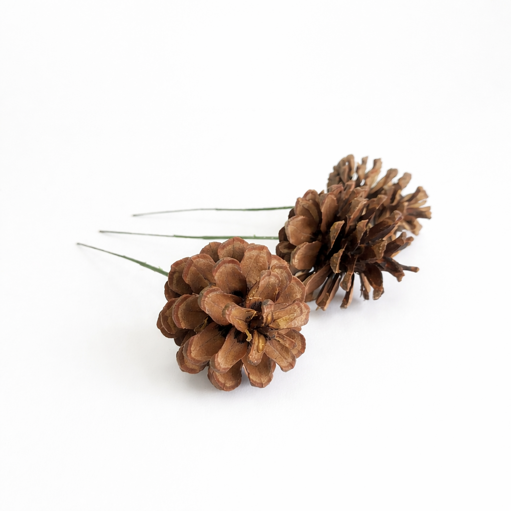 Natural Pinecone Pick - 6 Inch Stem (2-3")