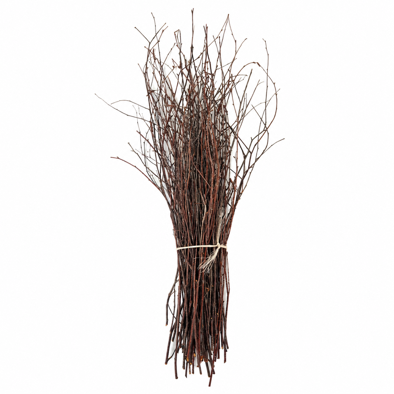 Natural Birch Twigs 18-28"