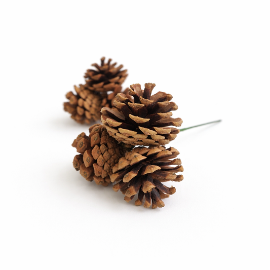 Natural Pinecone Pick - Triple Stem