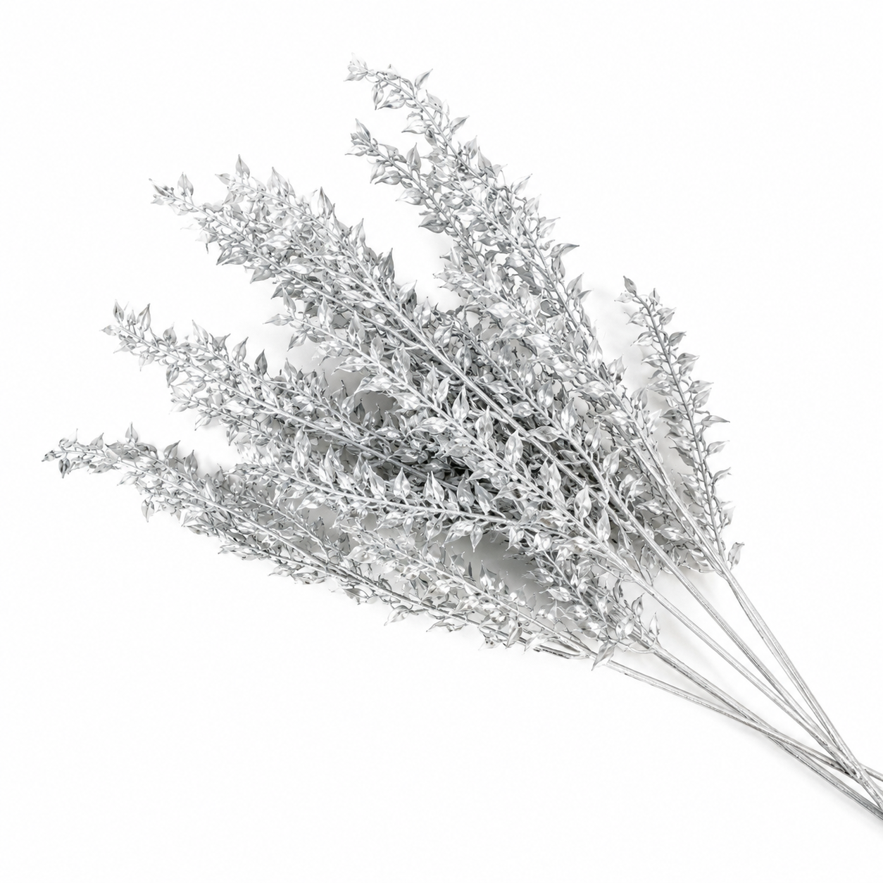 Metallic Painted Dried Ruscus - 3pc Bunch
