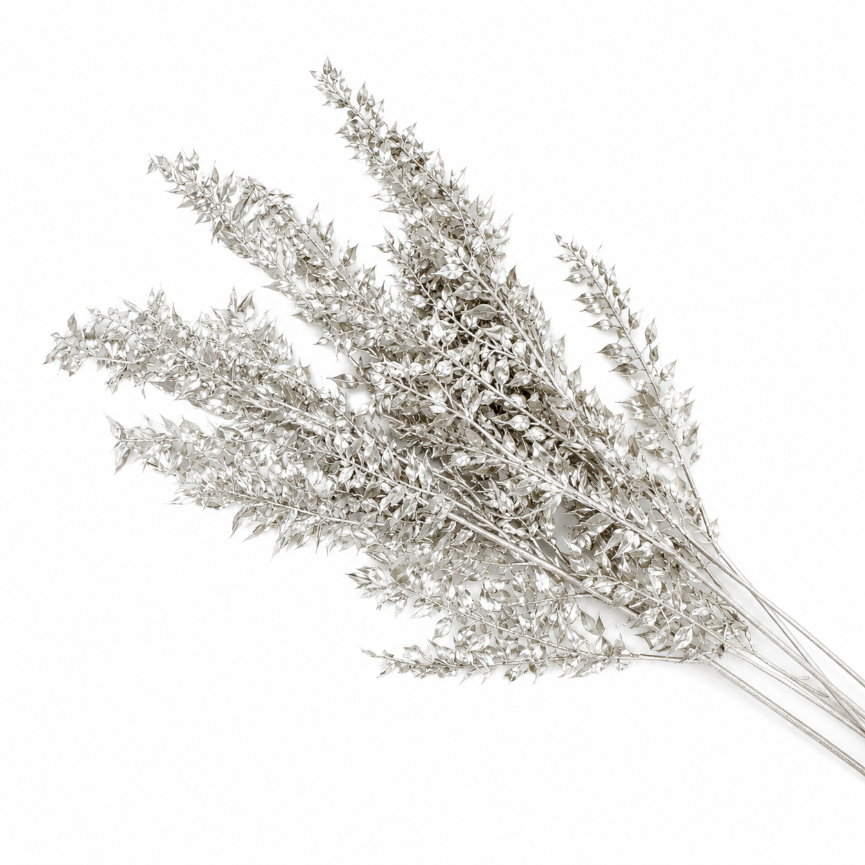 Metallic Painted Dried Ruscus - 3pc Bunch