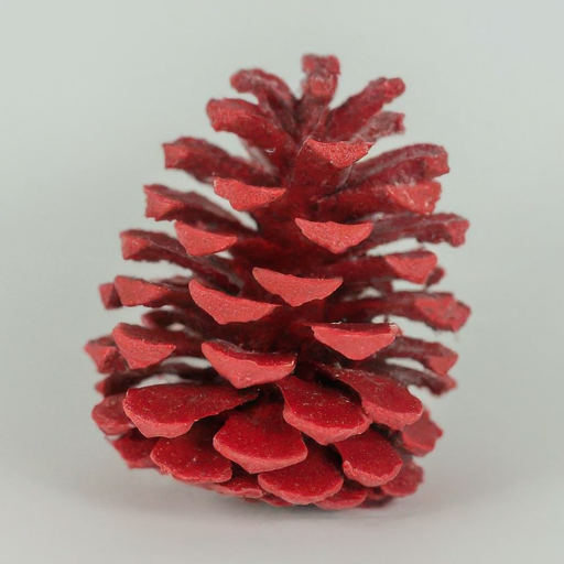 Jersey pinecones painted