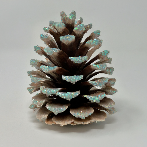 Loblolly pinecones glittered tip