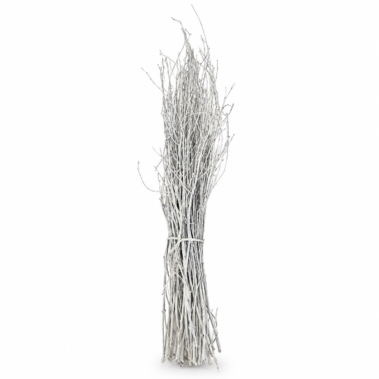 White Painted Birch Twigs 18-28"